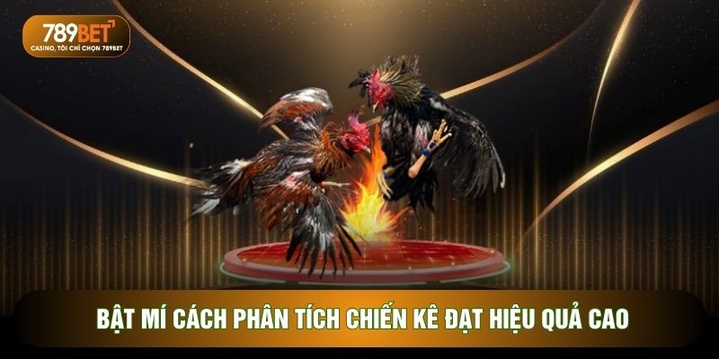 Bật mí cách phân tích chiến kê đạt hiệu quả cao