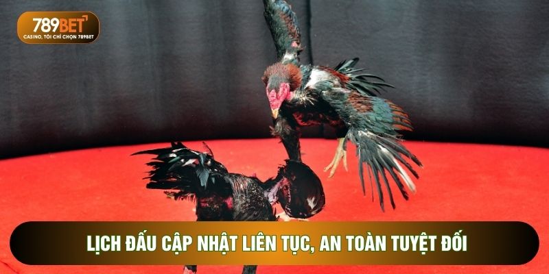 Lịch đấu cập nhật liên tục, an toàn tuyệt đối