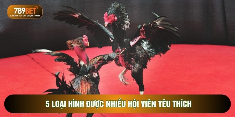 5 loại hình được nhiều hội viên yêu thích