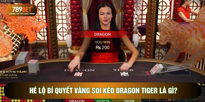 Hé lộ bí quyết vàng soi kèo Dragon Tiger là gì?