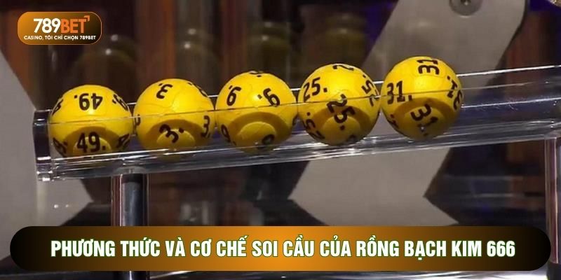 Phương thức và cơ chế soi cầu của rồng bạch kim 666